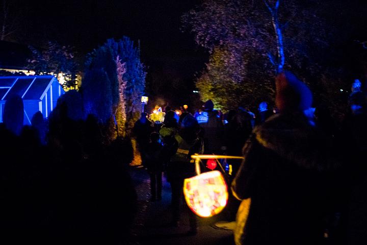 Bild: 20221112-191038.jpg